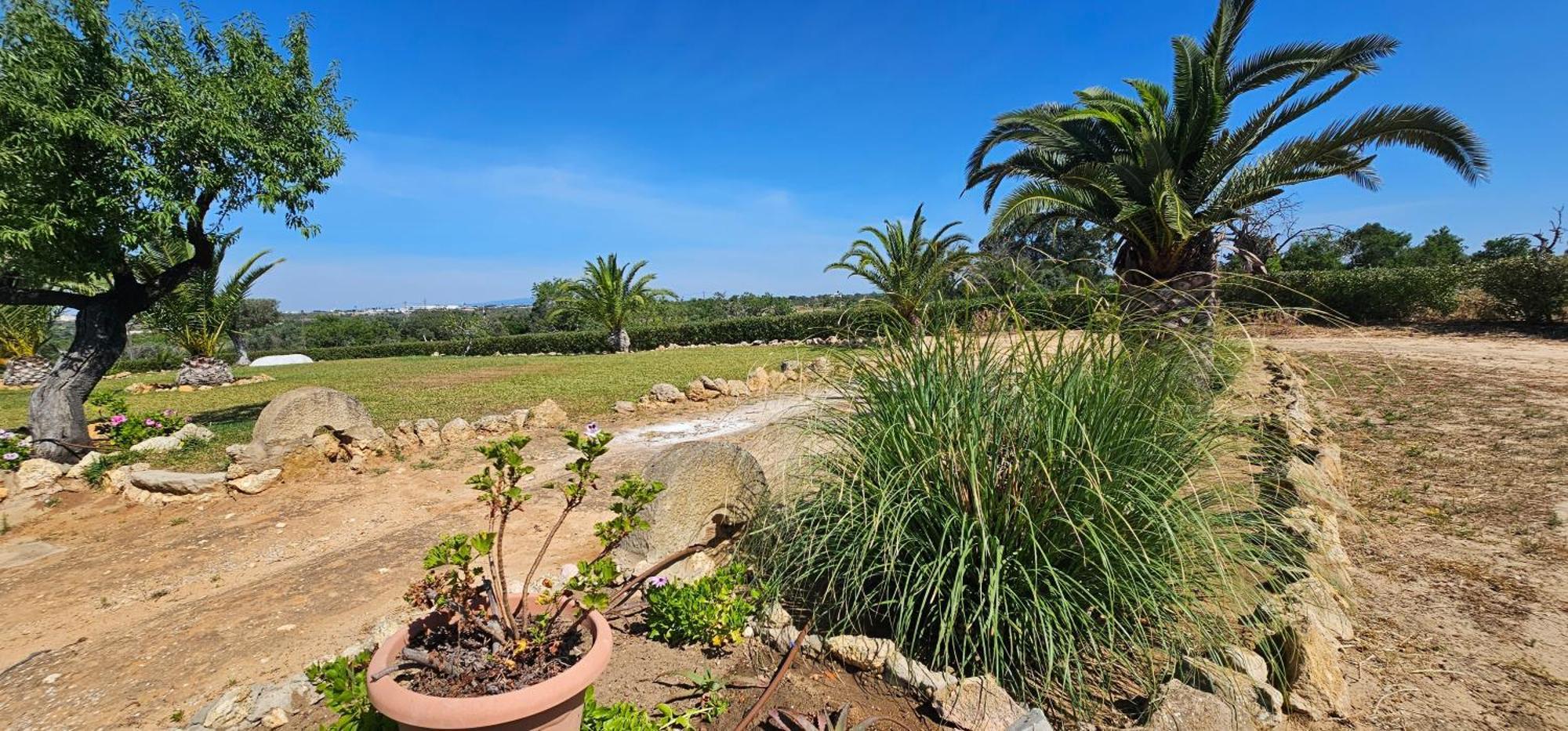 Quinta Do Lagar Albufeira Exterior foto