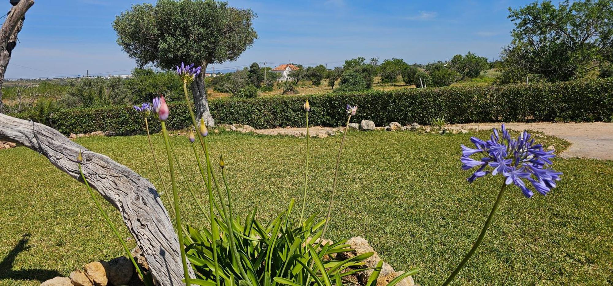 Quinta Do Lagar Albufeira Exterior foto